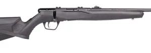 Savage Arms 70214 B22 F Compact 22 LR Caliber with 10+1 Capacity, 18" Barrel, Matte Blued Metal Finish & Matte Black Synthetic Stock Right Hand