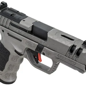 SAR USA SAR9CG3PT SAR9 C Gen3 Compact Frame 9mm Luger 10+1/15+1 4" Black Steel Barrel, Platinum Gray Steel Slide, Platinum Gray Polymer Frame w/Picatinny Rail, Black Interchangeable Backstrap Grip