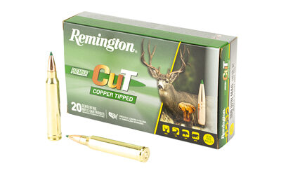 REM PRMRCUT CPR 300WIN 180GR 20/200